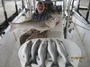 (01/09/2017) - Nice Striped Bass
